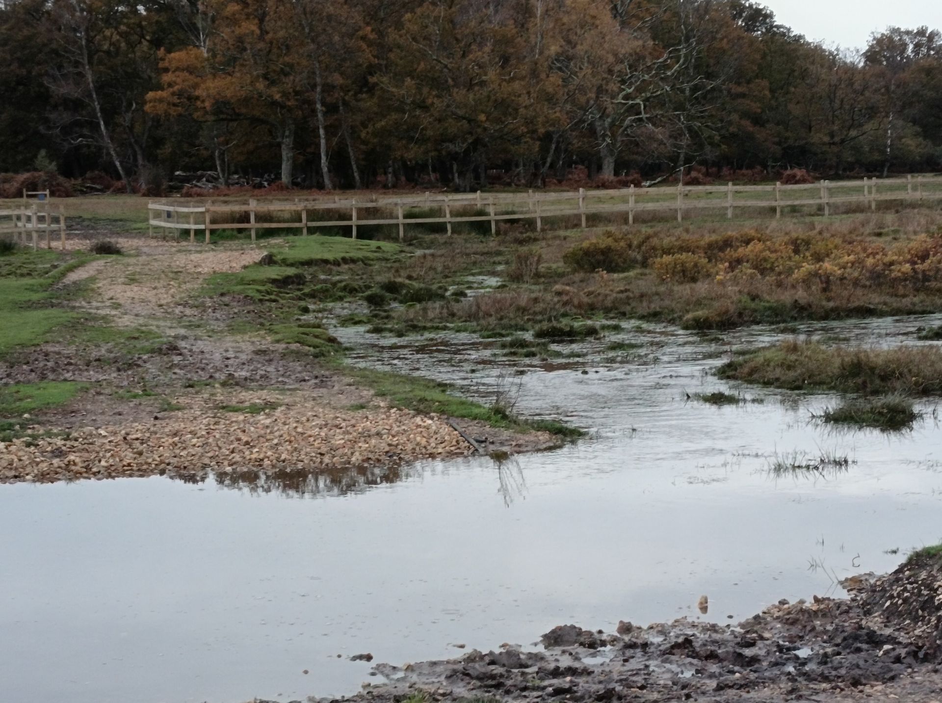 Lying water Penny Moor